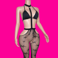 All Star II| Exotic Harness Stocking